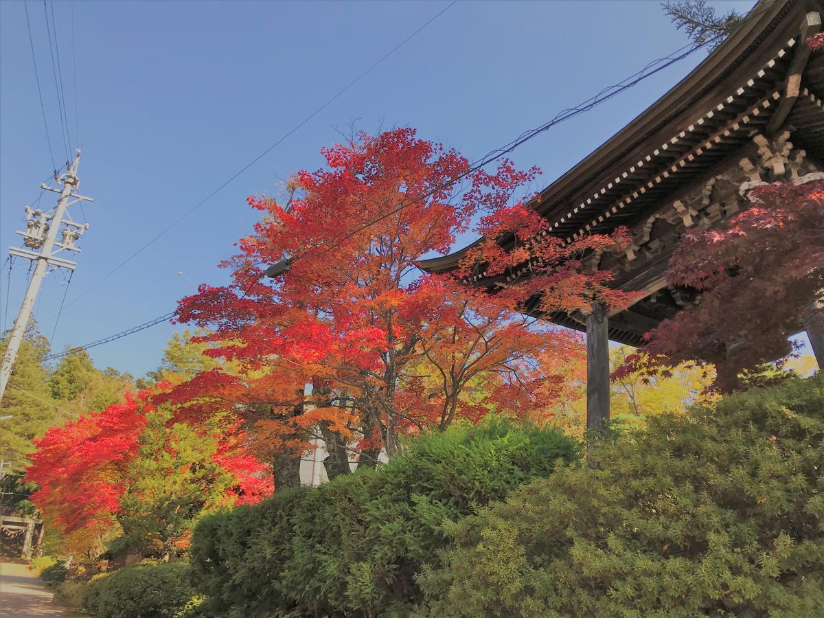 Guesthouse Daruma Takayama  Exterior photo