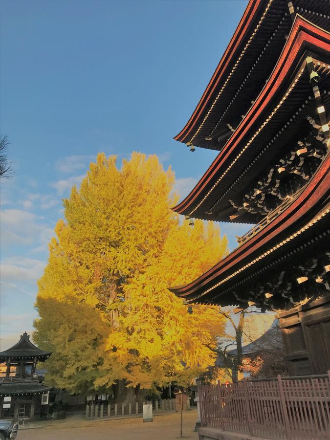 Guesthouse Daruma Takayama  Exterior photo